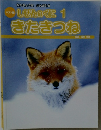 しぜんのくに 1  きたきつね