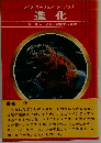 進化