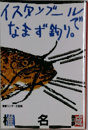 イスタンブールでなまず釣り。
