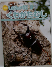 しぜんのくに　8  くわがたむし　