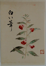 白い峯