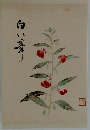 白い峯
