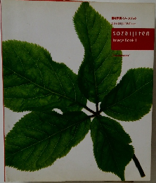 素材辞典イメージブック　sozaijiten　