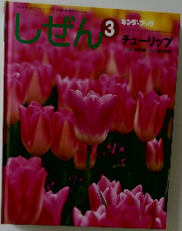 しぜん　チューリップ　3　