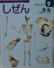 しぜん　9　ほね