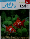 しぜん　6　きんぎょ