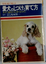 愛犬のしつけと育て方丈夫で利口な犬に育てるために