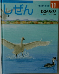 しぜん　11　わたりどり　平成20年11月1日号