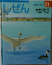 しぜん　11　わたりどり　平成20年11月1日号