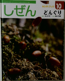しぜん　10　どんぐり
