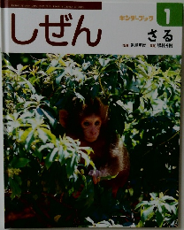 しぜん  キンダーブック  1  さる