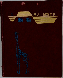 動物　1