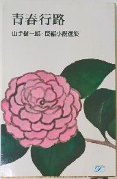 青春行路　