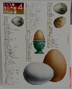 COOK 料理全集　4　卵の料理