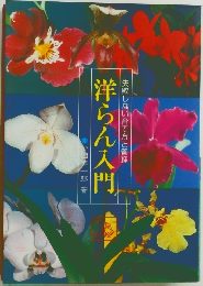 洋らん入門