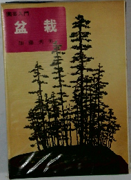 園芸入門　盆栽　