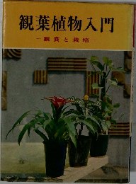 観葉植物入門　観賞と栽培