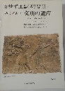 サイエンス　特集 考古学 文明の遺産