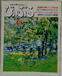びいぶろ 6