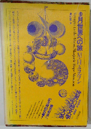 世界幻想文学大系 44