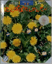 たんぽぽたんけんたい 1998.5
