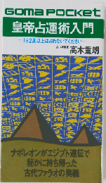 皇帝占運術入門 1日2度以上は占わないでください