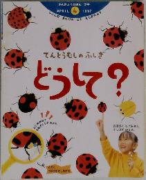 てんとうむしのふしぎどうして?　1997年4月号