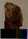 子丑寅