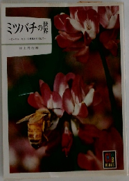ミツバチの世界　