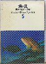 魚 貝 5