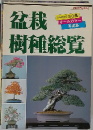 盆栽樹種総覧