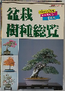 盆栽樹種総覧