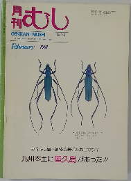 むし　No.240　1991年2月号