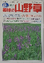 趣味の山野草8月号