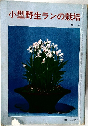 小型野生ランの栽培