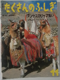 たくさんのふしぎ　1991年11月号　第80号
