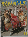 たくさんのふしぎ　1991年11月号　第80号