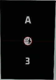 A  BEYOND  THE  AVERAGE  3