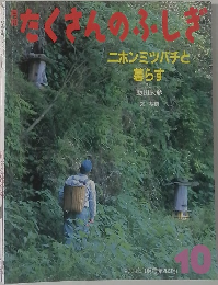 たくさんおふしぎ　2008年10月号