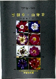 雪割草・山野草　'97秋~'98