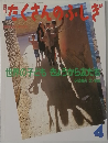 たくさんおふしぎ　169号