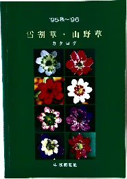 雪割草・山野草　1995年秋－1996年号