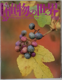 植物の世紀　37