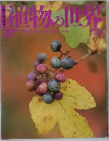 植物の世紀　37