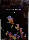 AVANT LIMITED  19