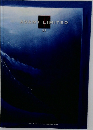 AVANT LIMITED  21