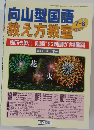 向山型国語 教え方教室　7-8 No.032　