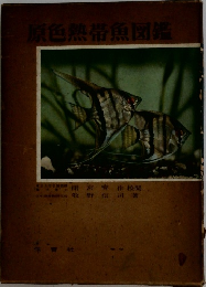 原色熱帯魚図鑑