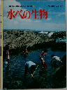 水べの生物　小学館の学習百科図鑑 28