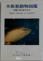 水族館動物図鑑　沖縄の海の生きもの